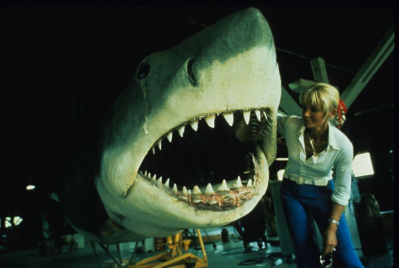 Der weiße Hai - Film-Still