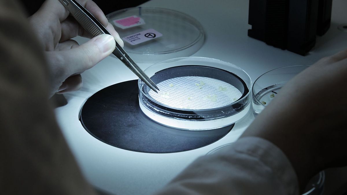 10 Milliarden - Wie werden wir alle satt? - Film-Still