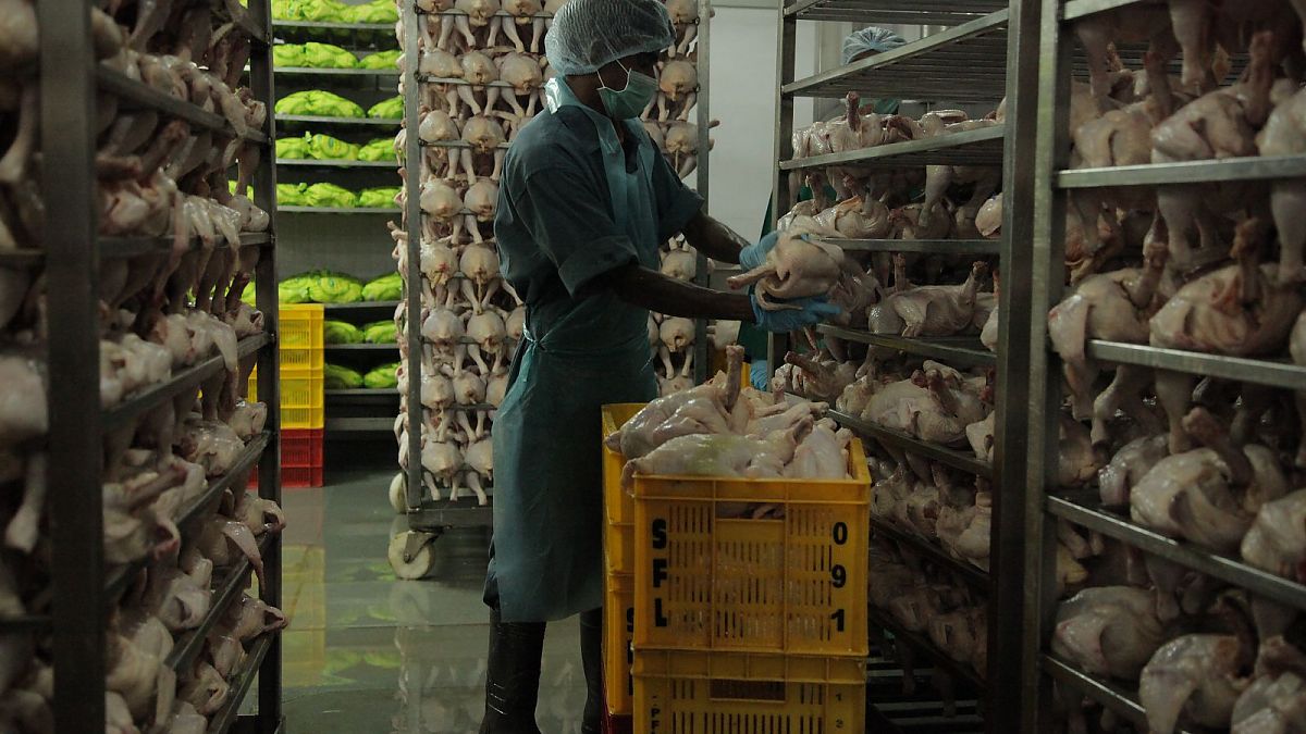 10 Milliarden - Wie werden wir alle satt? - Film-Still