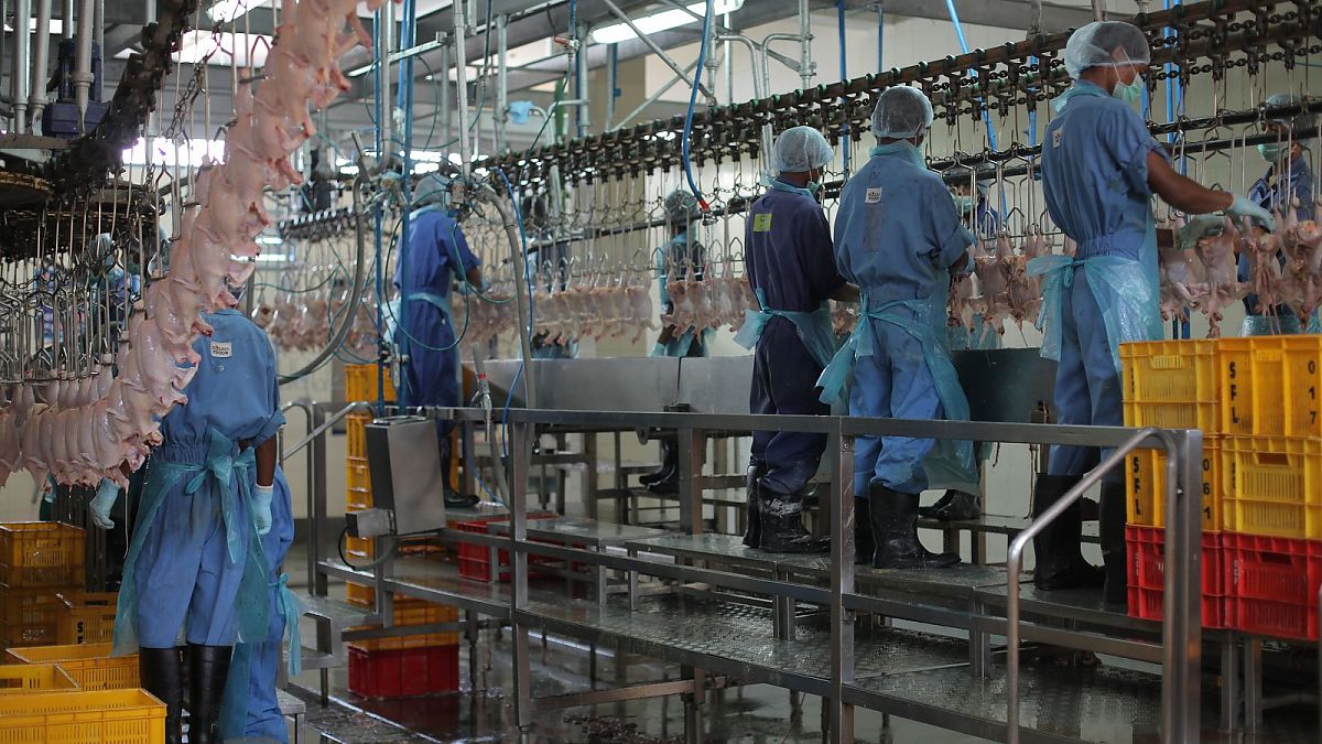 10 Milliarden - Wie werden wir alle satt? - Film-Still