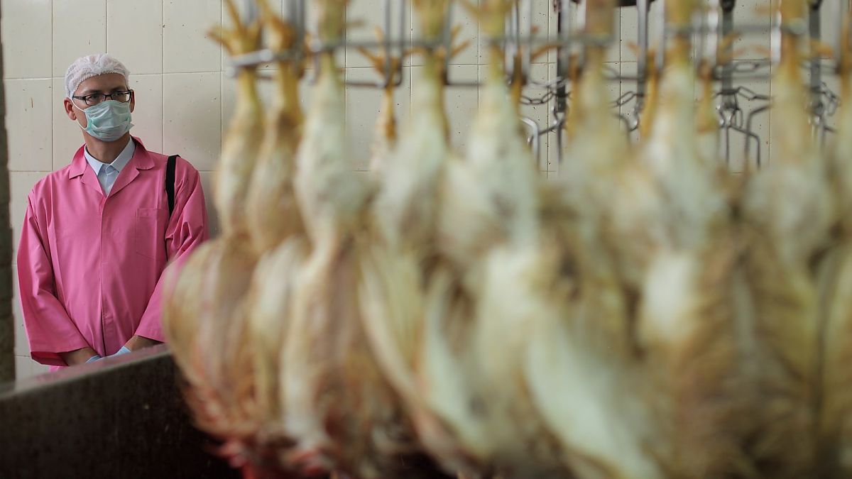 10 Milliarden - Wie werden wir alle satt? - Film-Still