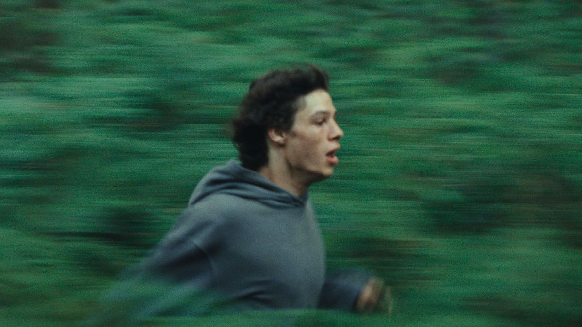 Animalia - Film-Still