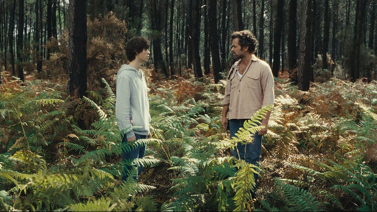 Animalia - Film-Still