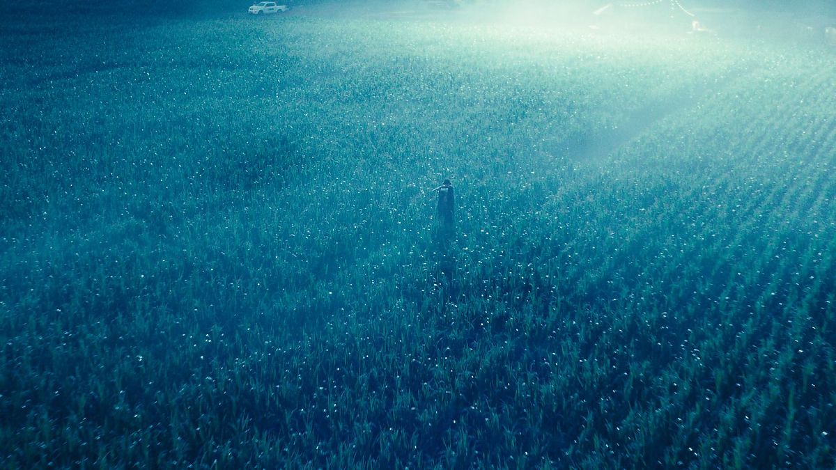 Animalia - Film-Still