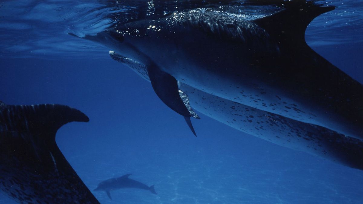 Atlantis - Film-Still