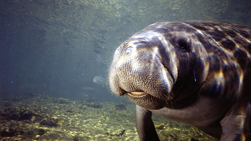 Atlantis - Film-Still