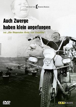 Cover zu Auch Zwerge haben klein angefangen