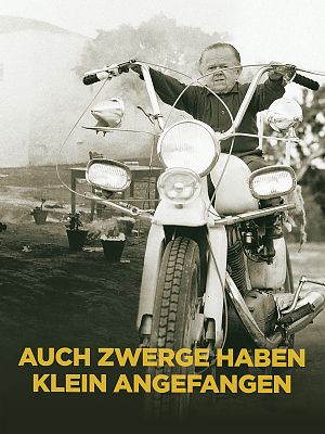 Cover zu Auch Zwerge haben klein angefangen