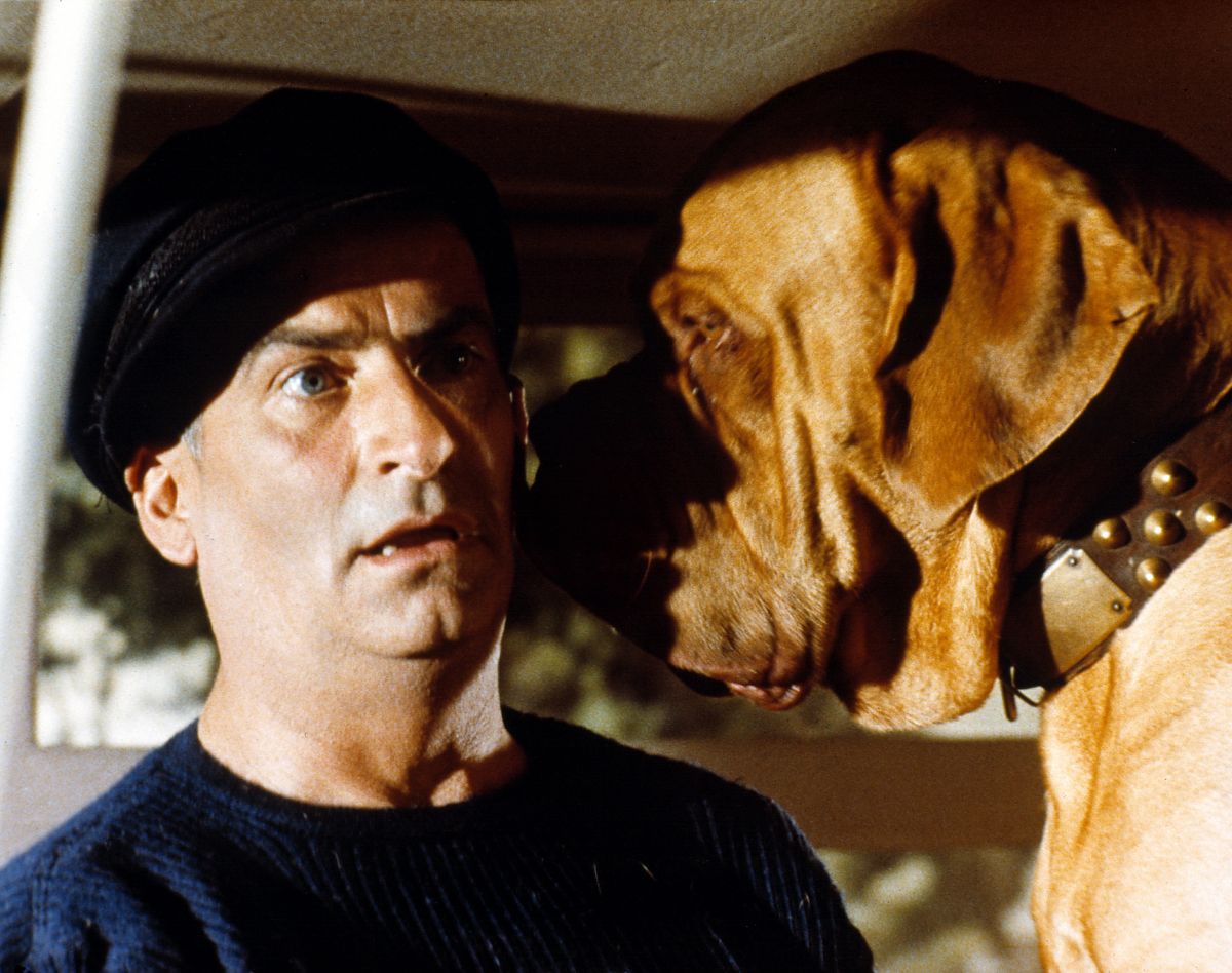 Balduin, der Ferienschreck - Film-Still