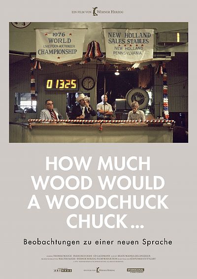 Bild zu Beobachtungen zu einer neuen Sprache