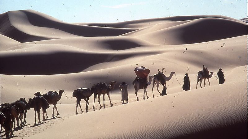 Bernardo Bertolucci Arthaus Close-Up - Film-Still