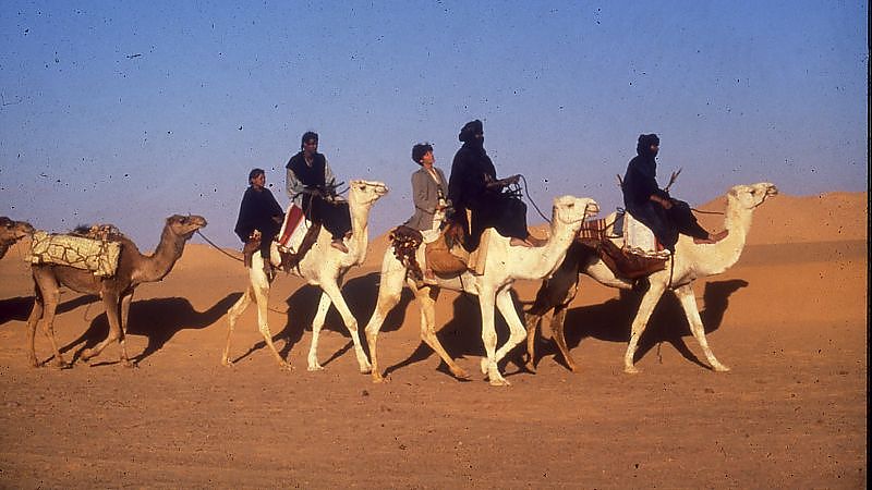 Bild zu Bernardo Bertolucci Arthaus Close-Up