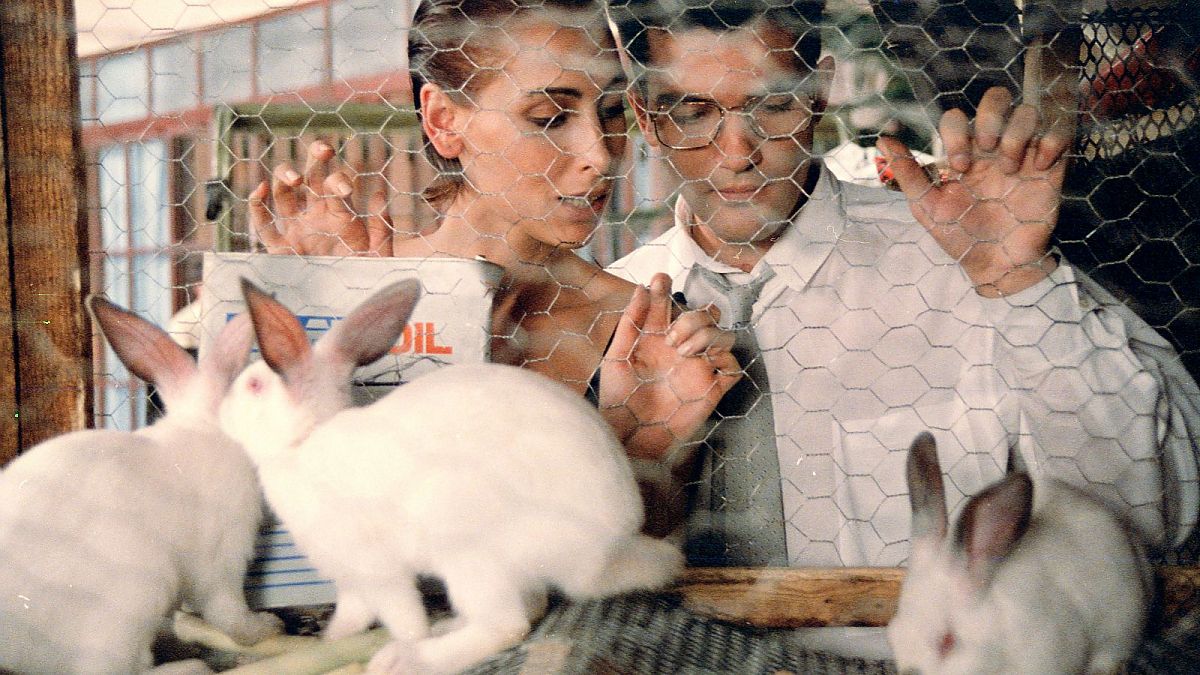 Best of Pedro Almodóvar - Film-Still