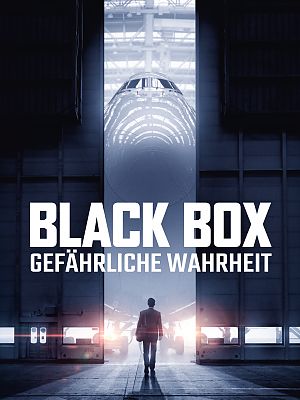 Cover Black Box - Gefährliche Wahrheit