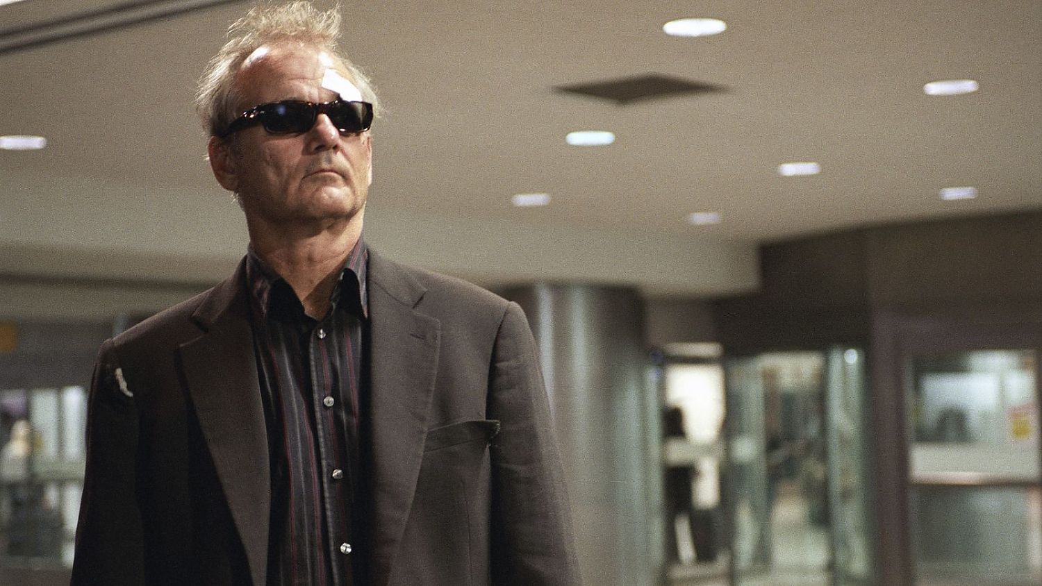 Bild zu Broken Flowers