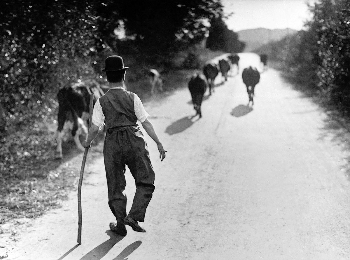 Charlie Chaplin - Frühe Meisterwerke 2 - Film-Still