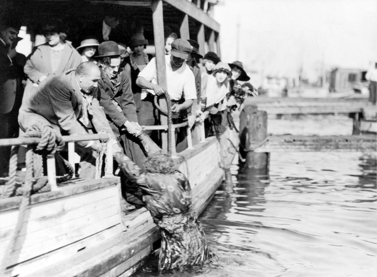 Charlie Chaplin - Frühe Meisterwerke 2 - Film-Still