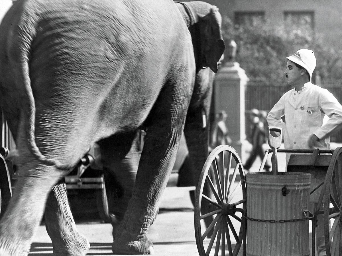 Charlie Chaplin - Lichter der Großstadt - Film-Still