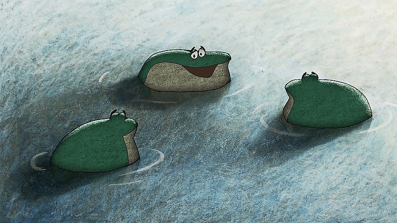 Bild zu Das Geheimnis der Frösche