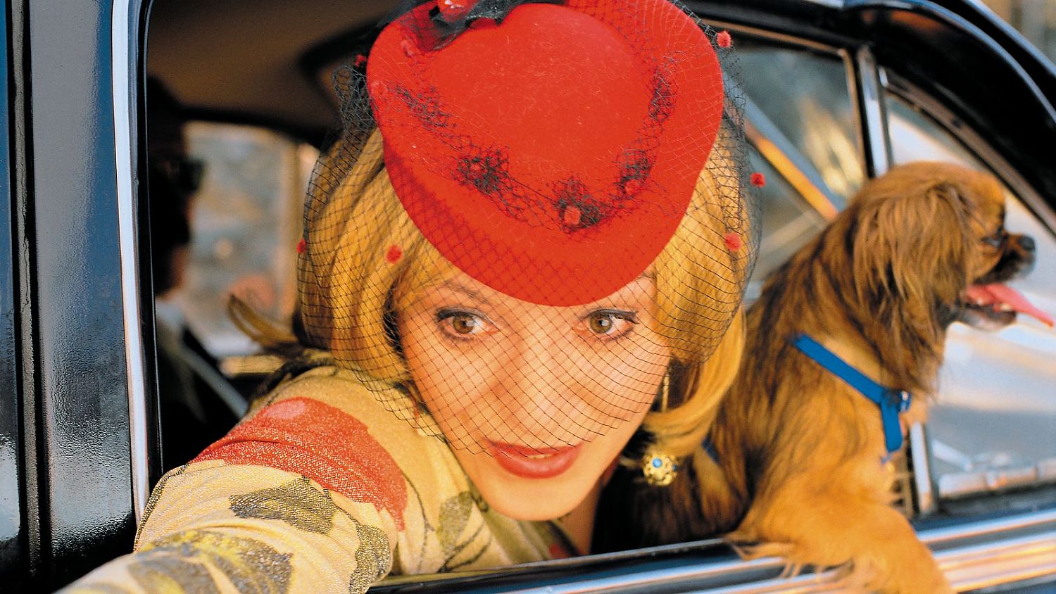 Bild zu Das Leben ist ein Wunder