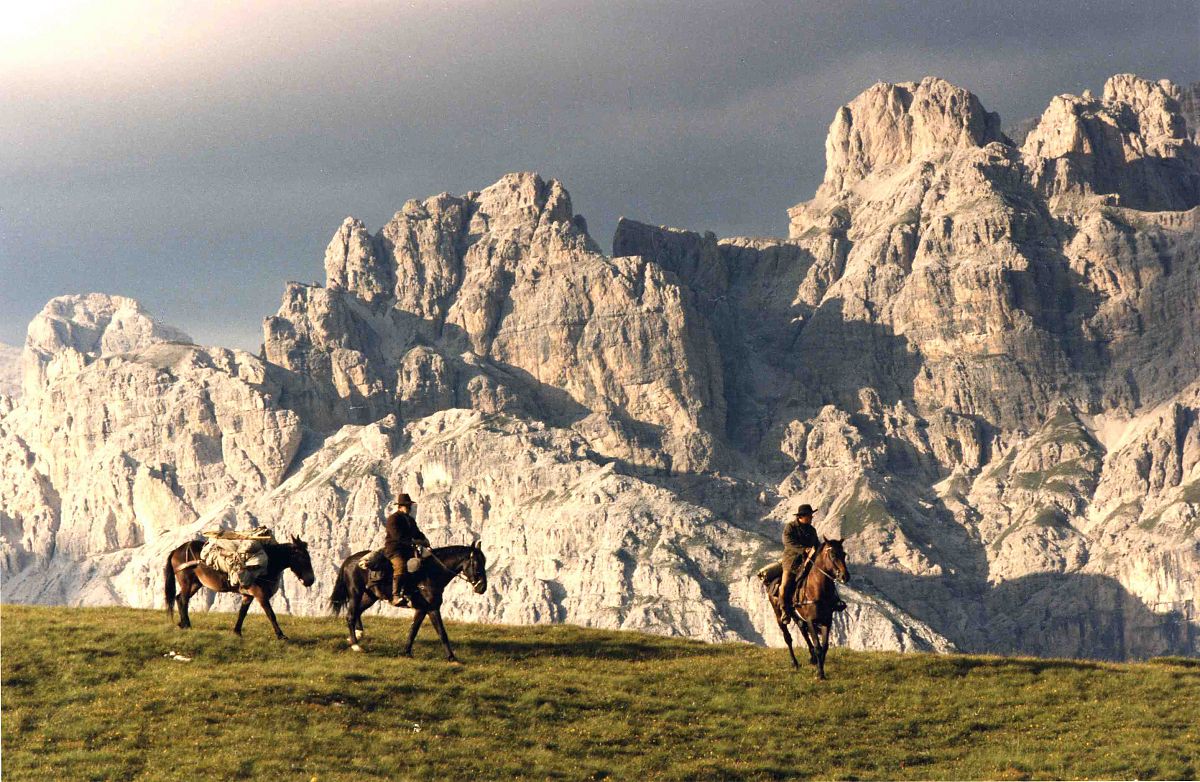 Der Bär - Film-Still