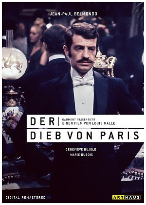 Cover zu Der Dieb von Paris