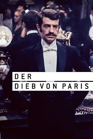Cover zu Der Dieb von Paris