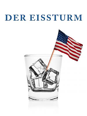 Cover zu Der Eissturm