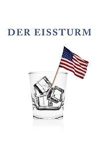 Cover Der Eissturm