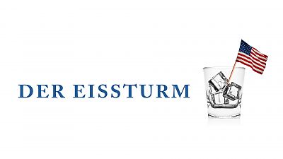 Cover zu Der Eissturm