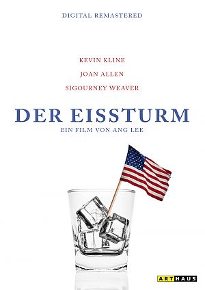 Cover zu Der Eissturm