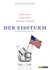Cover zu Der Eissturm