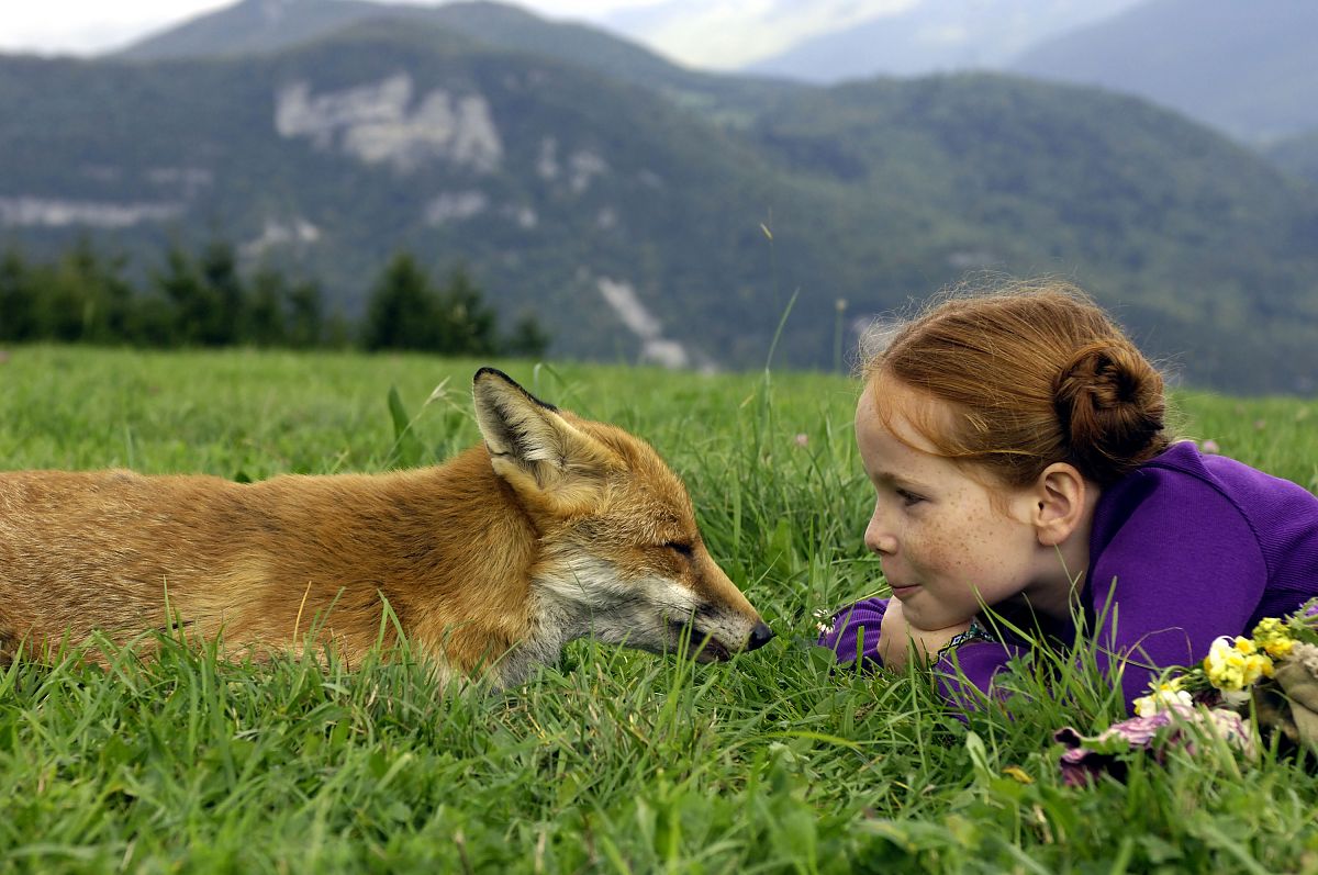 Der Fuchs und das Mädchen - Film-Still