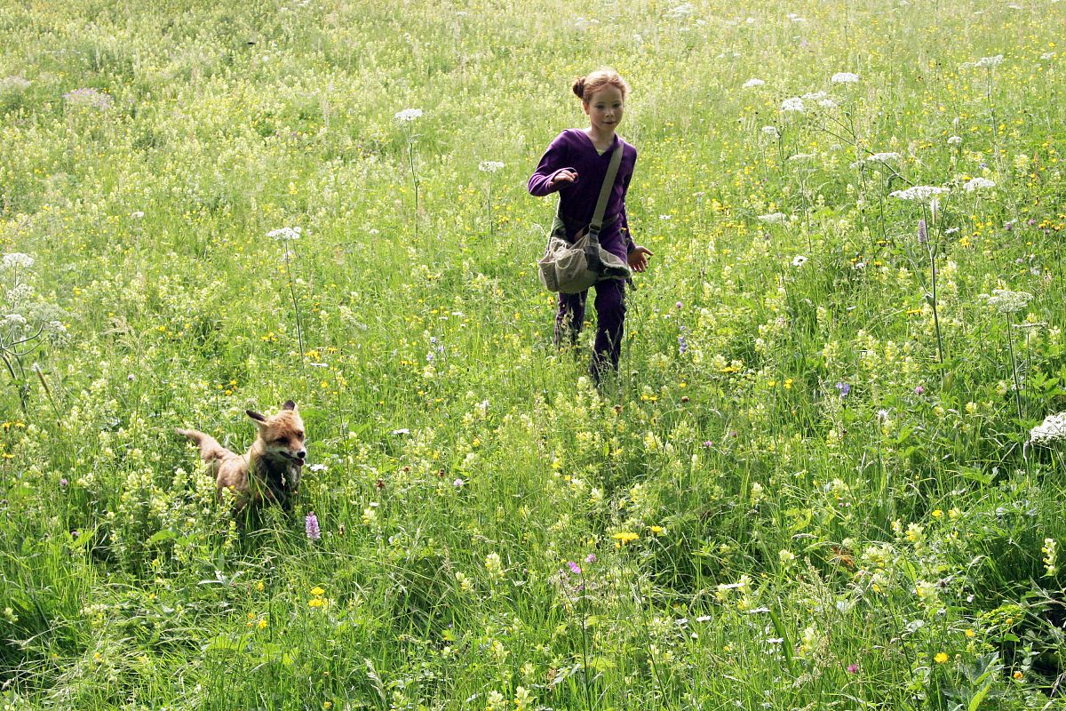 Der Fuchs und das Mädchen - Film-Still