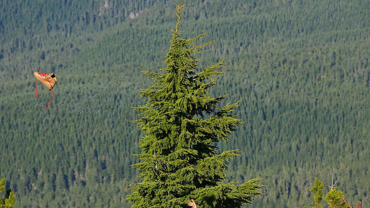 Der große Trip - Wild - Film-Still