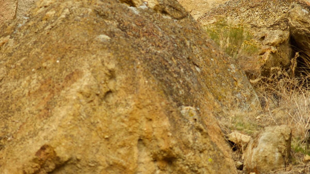 Der große Trip - Wild - Film-Still