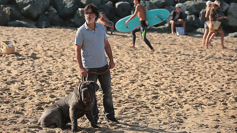 Der Hund bleibt - Film-Still