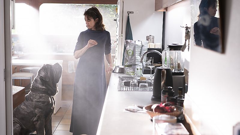 Der Hund bleibt - Film-Still