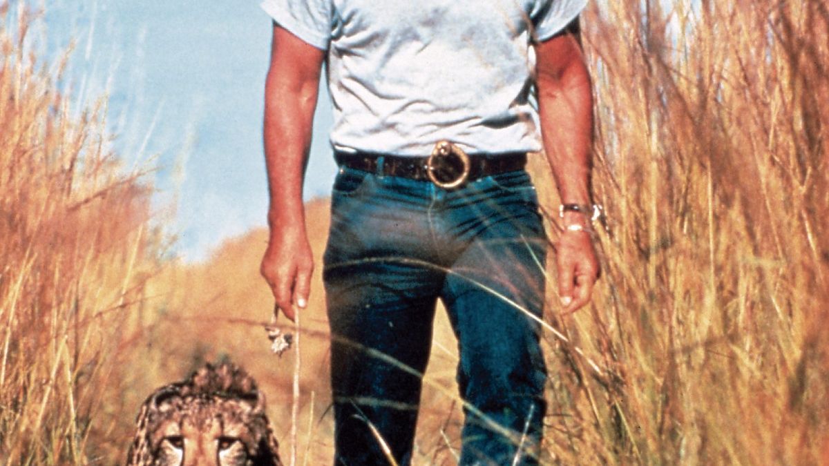 Der Löwe - Film-Still