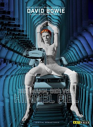 Cover zu Der Mann, der vom Himmel fiel