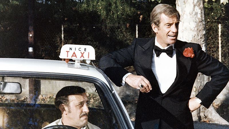 Bild zu Der Windhund