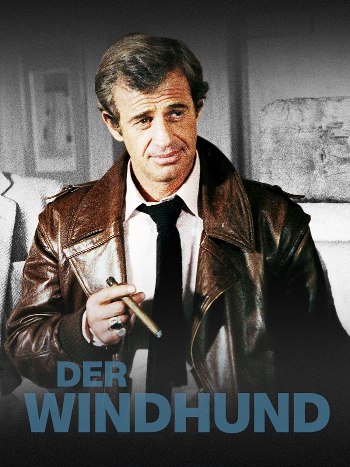 Cover zu Der Windhund