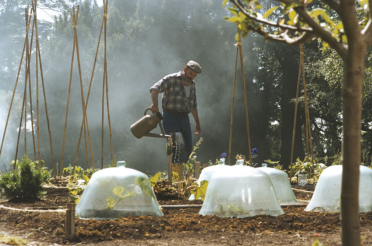 Dialog mit meinem Gärtner - Film-Still