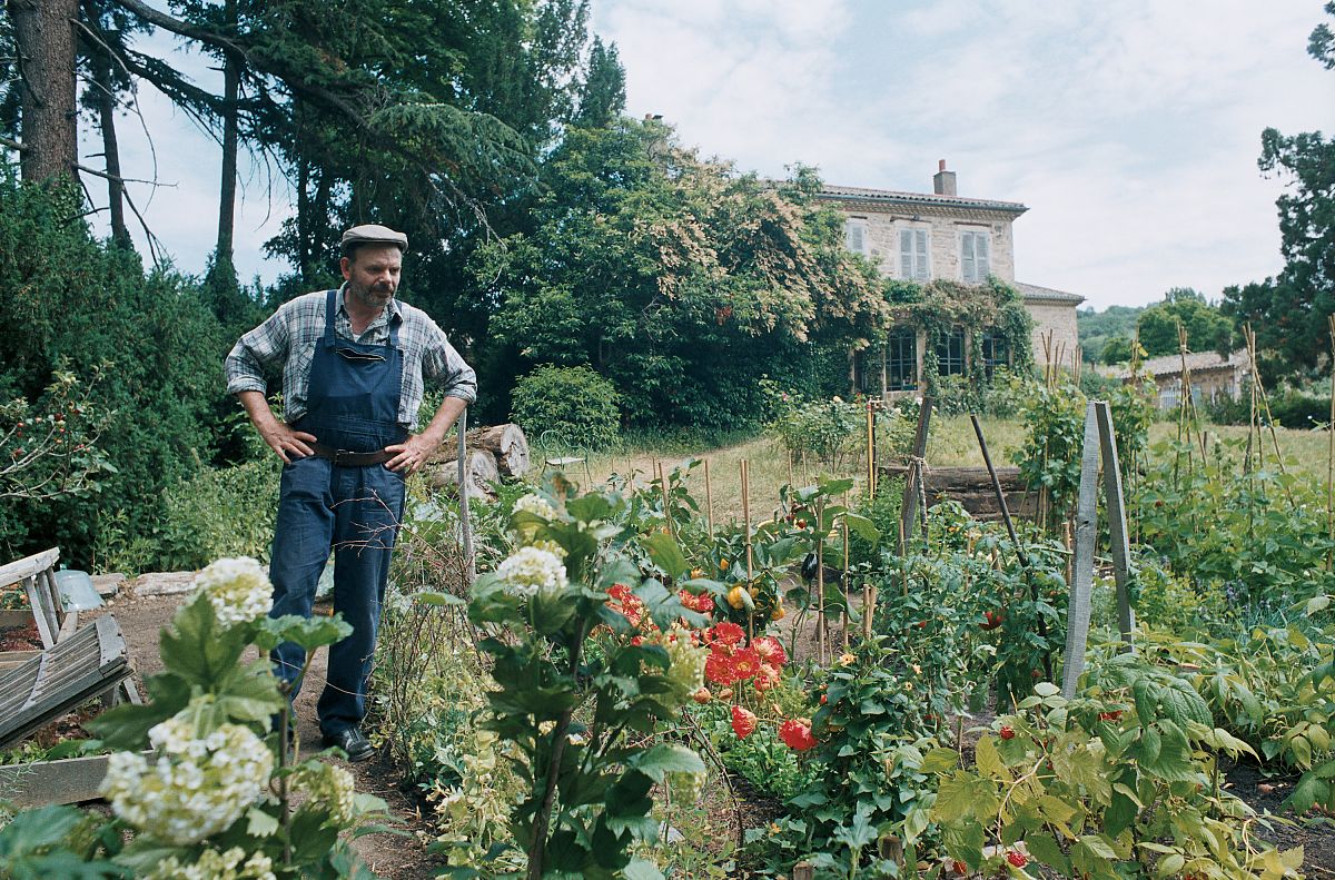 Dialog mit meinem Gärtner - Film-Still