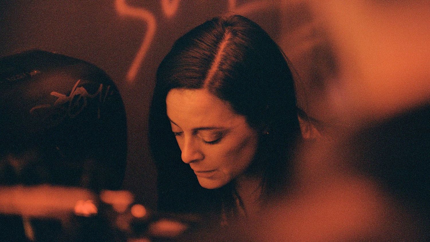 Bild zu Die Nacht als Laurier erwachte