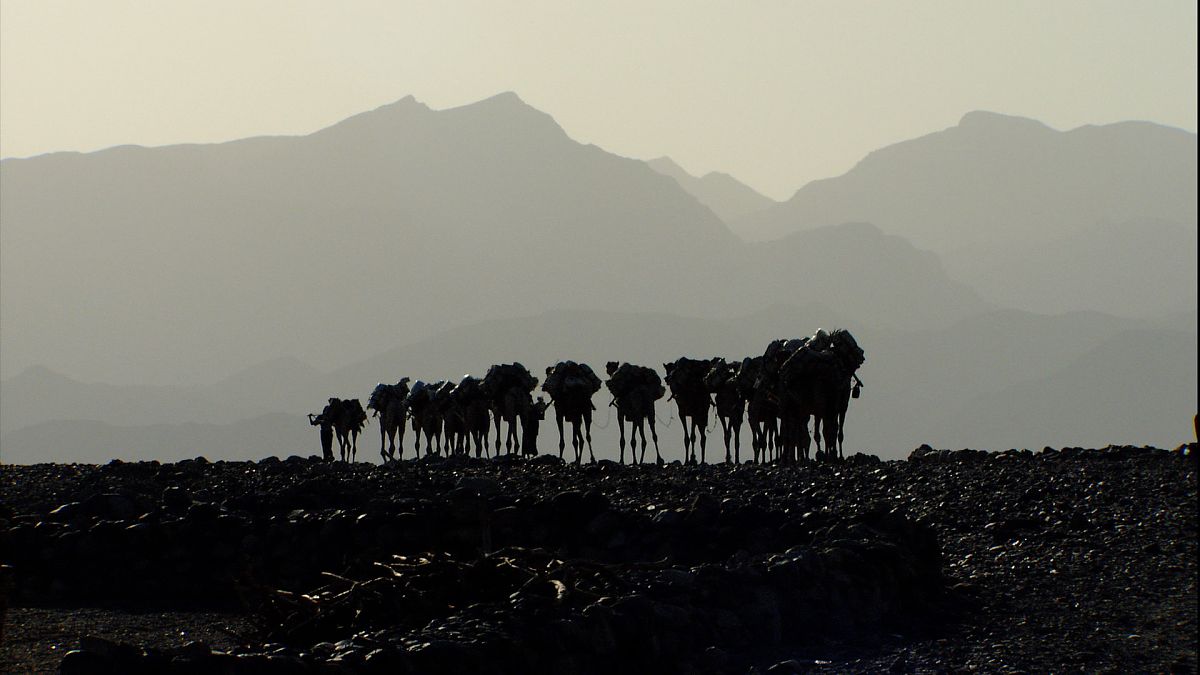 Die Ozeane - Geheimnisse der Weltmeere - Film-Still
