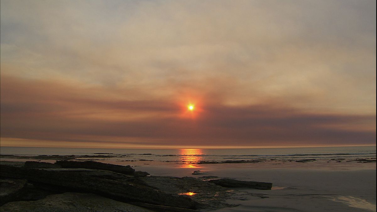 Die Ozeane - Geheimnisse der Weltmeere - Film-Still