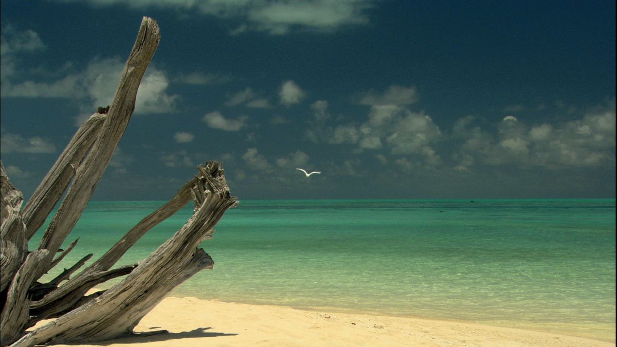 Die Ozeane - Geheimnisse der Weltmeere - Film-Still