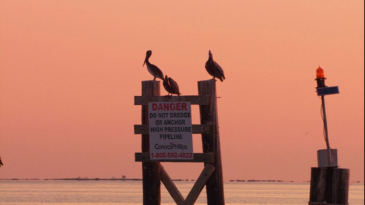 Die Ozeane - Geheimnisse der Weltmeere - Film-Still