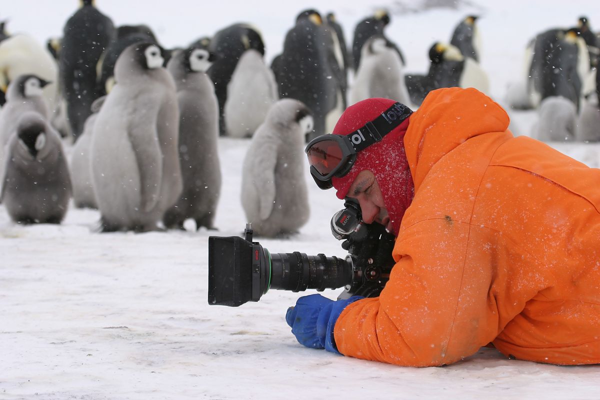 Die Reise der Pinguine - Film-Still